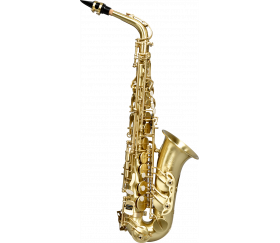 A420-II-BM - Beginner...