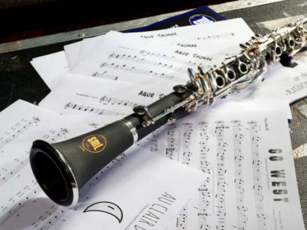 Come scegliere un clarinetto per principianti?