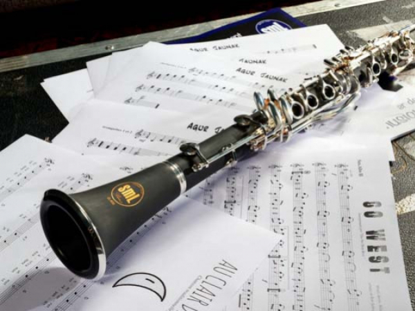 Quelle clarinette choisir pour débuter ?